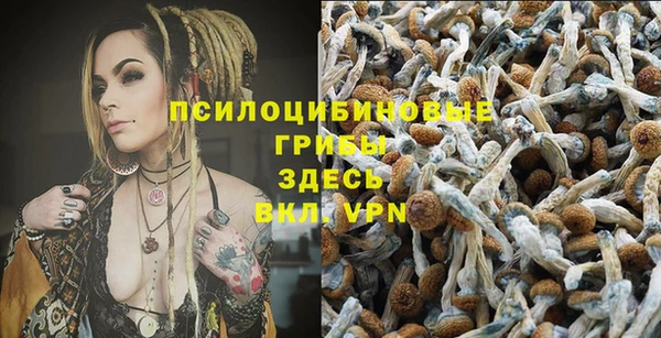 каннабис Тайга