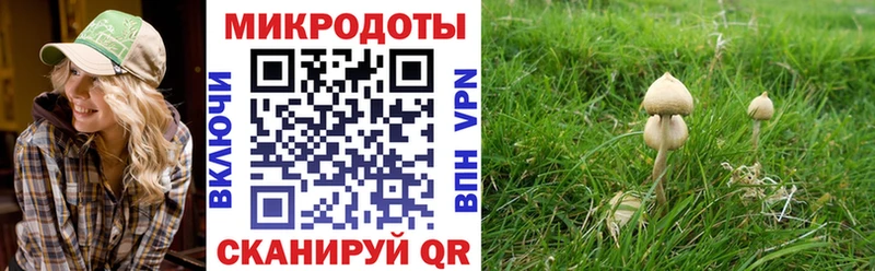 Галлюциногенные грибы Magic Shrooms  Купить  Шебекино 